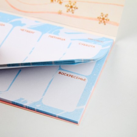 New Year. Planing mini-calendar on the cover, 50 liters. "Fairytale year"-3