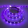 Ecola Pro 1 m, IP20, SMD5050, 60 LED/m, 14.4 W/m, 12 V, RGB