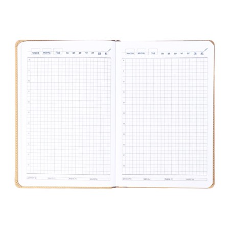 The diary is low, the PVC cover, A5 format, 140 l, cell, with a strap, beige-11