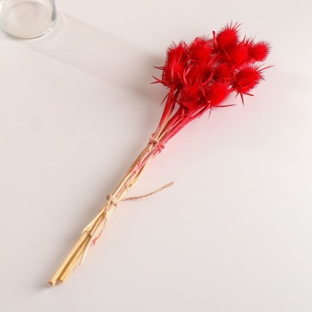 A set of dried flowers "Brush", a ban 7-8 pcs, length 50 (+/- 6 cm), red-3