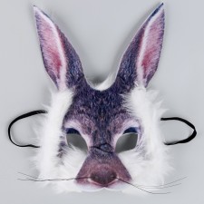 Carnival mask 