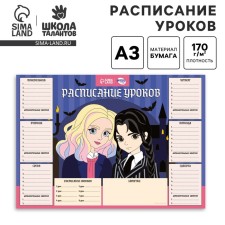 The schedule of the lessons 