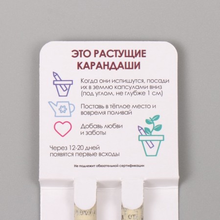 Growing gift pencils Mini "Mint + Paprika" set 2 pcs.-2