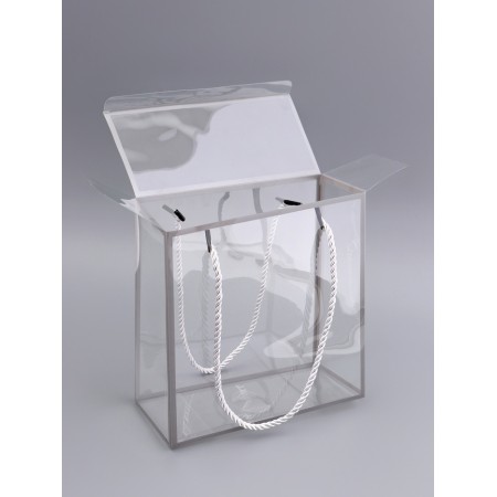 PET box with handles, silver, 20 x 20 x 9 cm-2