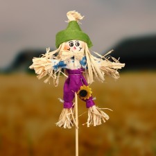 Garden scarecrow, h = 50 cm, mix, Greengo