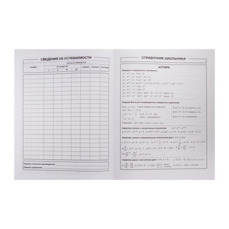 The diary is universal, for grade 1-11, "girl with a leopard", solid cover, selective varnish, foil embossing, matte lamination, offset block, universal cheat sheet, 48 sheets-7