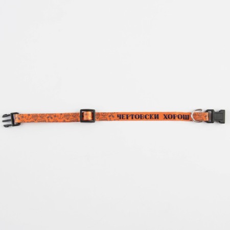 A collar for dogs and cats with Fasteks "damn good", 30x1 cm-4