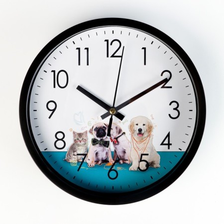 Wall clock "kitten and puppy", D-20 cm, smooth move