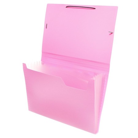 Folder Carder Calligrata watercolor 6 department. A4 plastic 0.7mm flamingos, black resident-1
