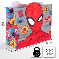 Gift package, 23x27x11.5 cm, packaging, spider-man