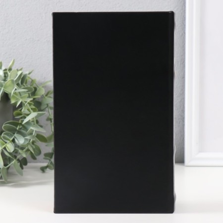 Safe-book wood to the leatherette "peryshko" gold 21x13x5 cm-6