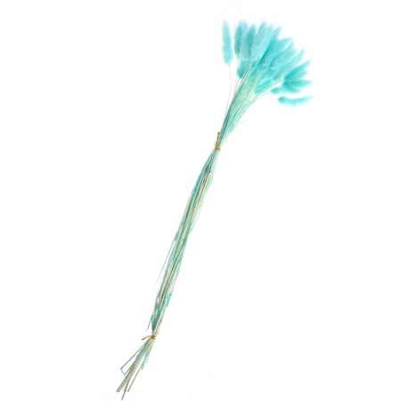 Sukhotzet "Lagurus", set of 30 pcs., Blue color-2