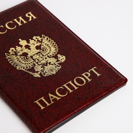 Cover for passport, burgundy color-3
