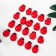Set of magnets "God's cow", 20 pcs., Red