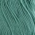 020 eucalyptus