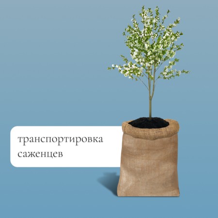 Jute bag, 57 × 90 cm, density 32 × 32 threads, without ties, Greengo-2