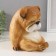 The piggy bank "Boldog with manual painting" Height 17 cm, width 16 cm, length 18 cm.