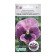 Flower seeds VILOL WITTROKIC INSPire Deluxe Pink Surpraise Bloth F1, 5 pcs