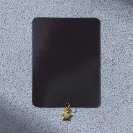 Magnet with the suspension "Real Defender", 6 x 8 cm-2