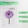 Photo frame plastic LIDA 15x20 cm white