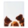 Set of covers PVC 213 x 355 mm, 140 μm, 3 pieces, "friends", for a diary and notebooks