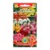 Georgin seeds of stunted "Rigoletto", mixture, 11 pcs