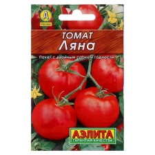 Semen Tomat 