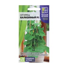 Cucumber seeds 