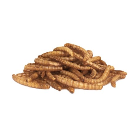 Little One "flour worm" for omnivorous rodents, 70 g-1