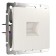 Telephone socket RJ-11 (pearly corrugated) WL13-RJ-11
