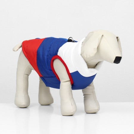 Dog jacket "Patriot", size S (DS 22, OG 37 cm)