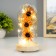 Nightlight "Orange flowers" LED from battery 3xlr44 10x10x20 cm Risalux