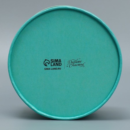 Gift box, packaging, "mint", 13 x 9 cm-4