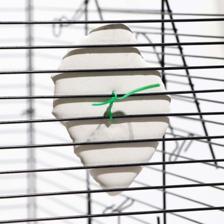 Mineral stone "Pigger" for birds, a shell with coal, 90 g-4