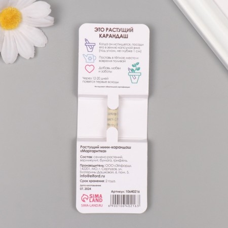 Growing gift pencils Mini "Margarita"-1
