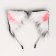 Kitty carnival set (rim+tail) anime