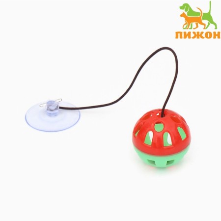 Ball for cats on a suction cup with a tambourine, 4 cm, red/green
