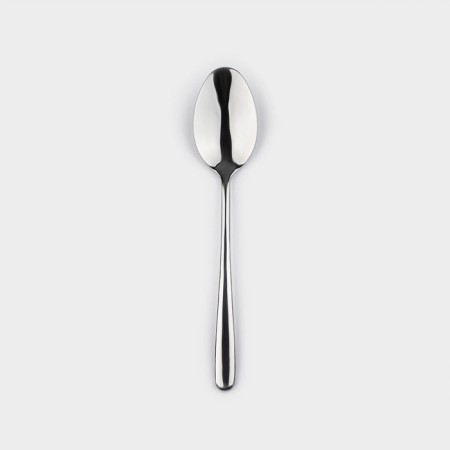 Tablespoon Magistro "Gentry", length 20.5 cm, silver color