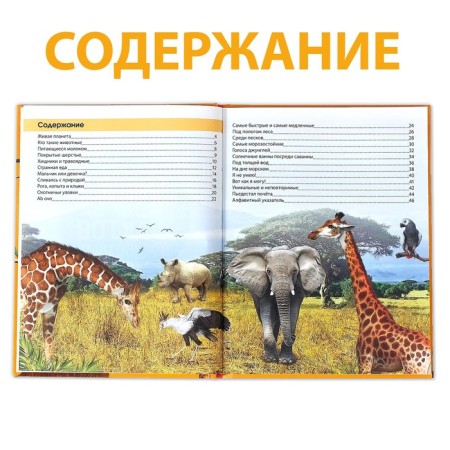 Encyclopedia "200 Facts about animals", 48 p.-2