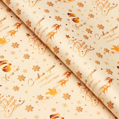 Paper packaging craft white "gold NG", 50 x 70 cm-1