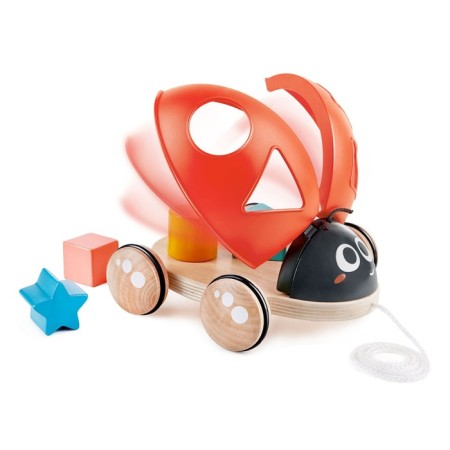 Catcam "God's Layer", with a sorter, 5 items-1