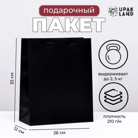 Laminated package "black", m 26 × 32 × 12 cm