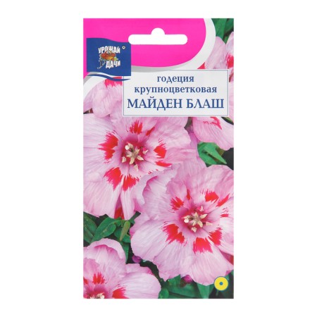 Flower seeds Godegia "Maiden Blanche", 0.2 g