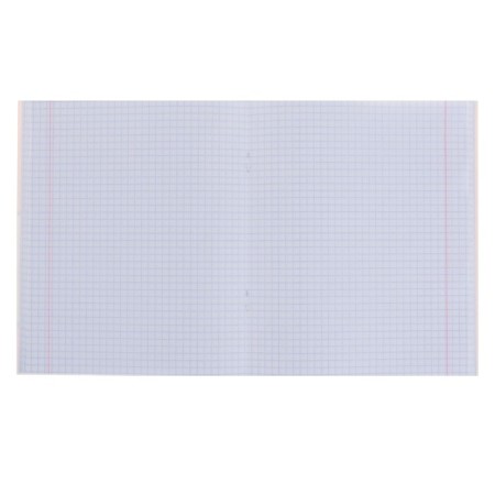 A notebook of 96 sheets in the Calligrata Flamingo cage, the cover coated cardboard, the offset unit, mix-1