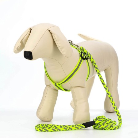 Set "braid", fluorescent, harness 32-48 cm, leash 115 x 1 cm, green-1