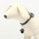 Tarry for engraving "paw", packing 6 pcs, 2.6 x 3.2 cm, mix of flowers