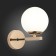 Wall lamp EVOLUCE. Sle106801-01. Sonco. 1x40 W, E14, 13.8x21 cm, color French gold