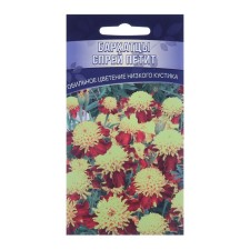 Flower seeds 