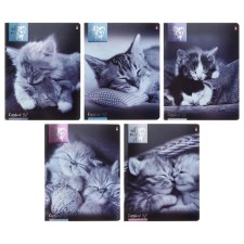 Notebook of 48 sheets in the cage 