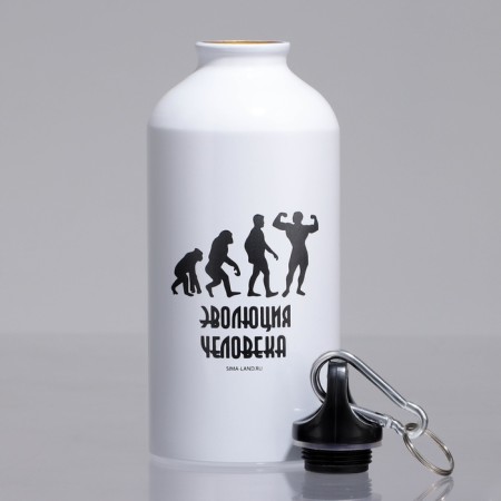 Water bottle "Evolution", 500 ml-2